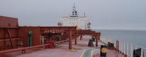 ocean-freighters limited bulk carrier